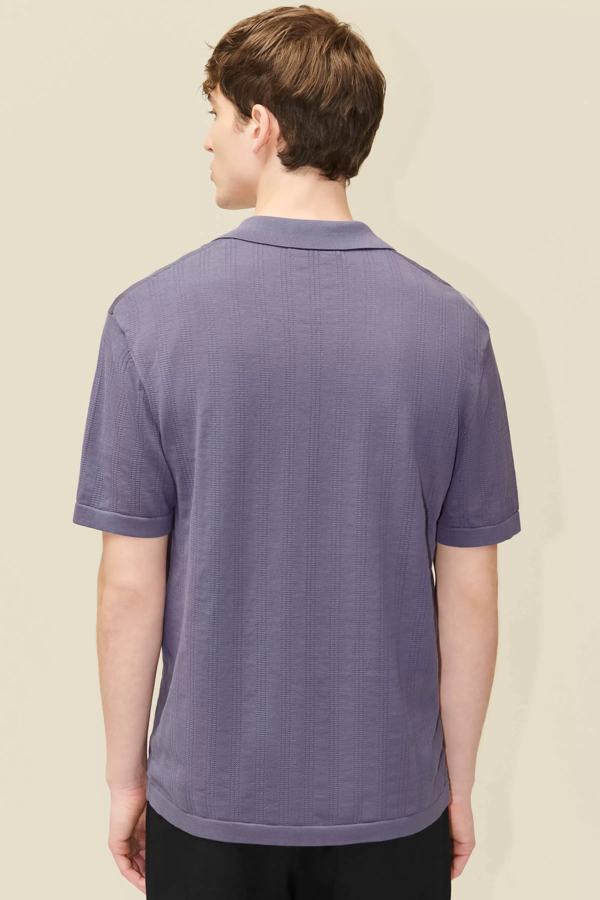 DRYKORN RAY | Herren Poloshirts | Strick